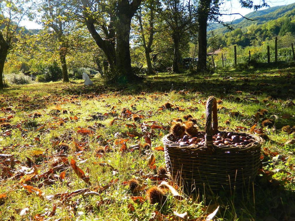 فيلا Agriturismo Casa Turchetti Comano  المظهر الخارجي الصورة